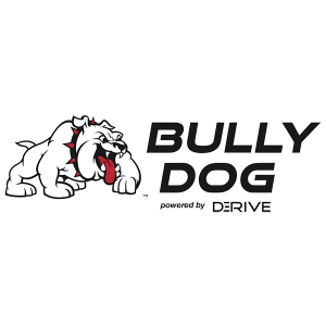 BULLY DOG BIG RIG