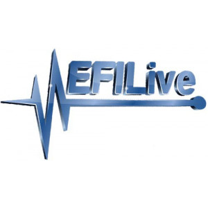 EFILIVE